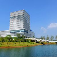防脱洗发水真相：高浓度≠更有效，关键在这3个细节