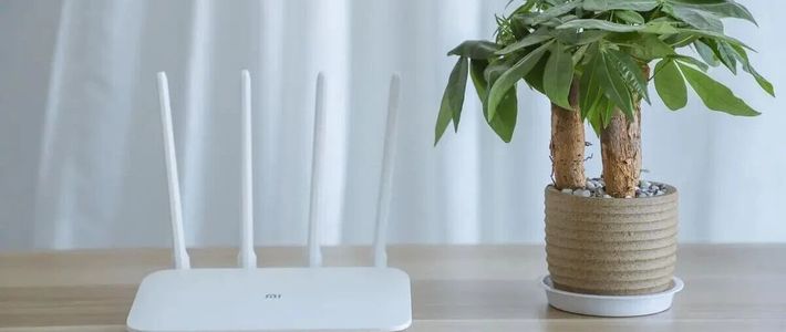 WiFi满格却打不开网页？你可能卡在DNS这一步