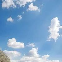 十款鱼油正规排名精准详解，2026最新合集，分子蒸馏提纯油脂去除