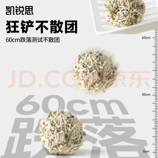 新手养猫第一年，我踩过的无数大坑