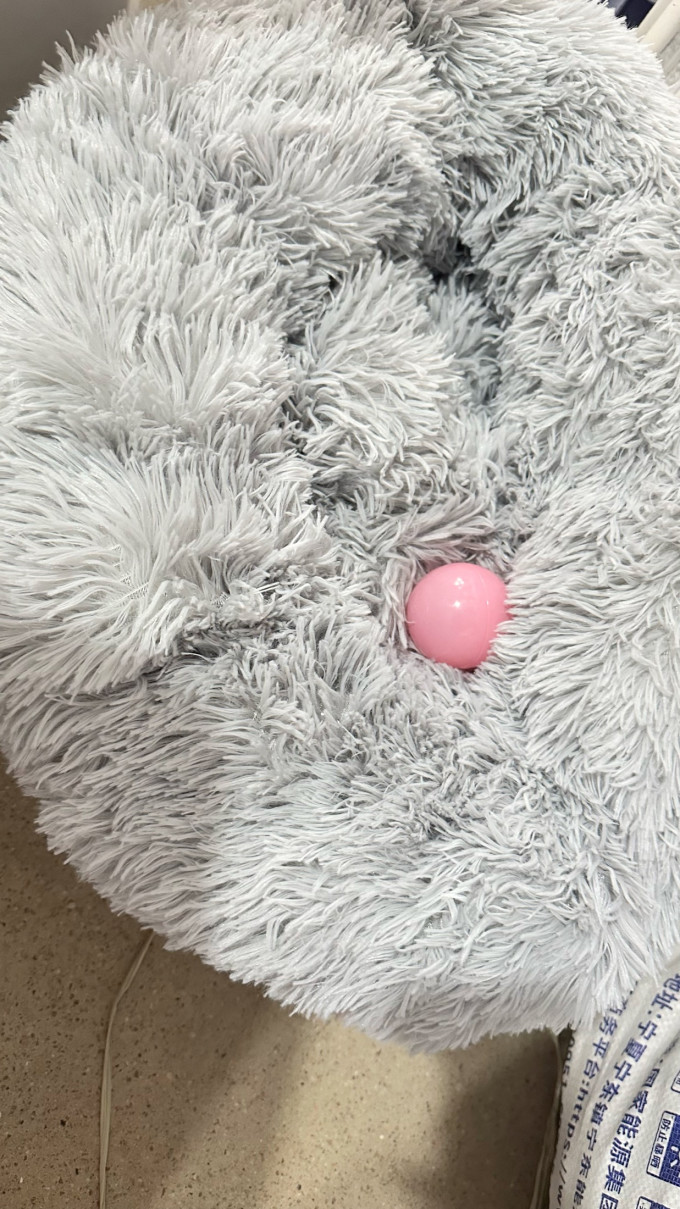 网易严选猫咪湿粮/罐头