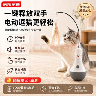 新手养猫第一年，我踩过的无数大坑