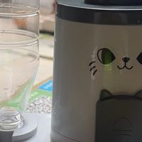 养猫三年总结的刚需好物