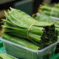 全国各地包粽子用的粽叶一样吗?你家用哪种？