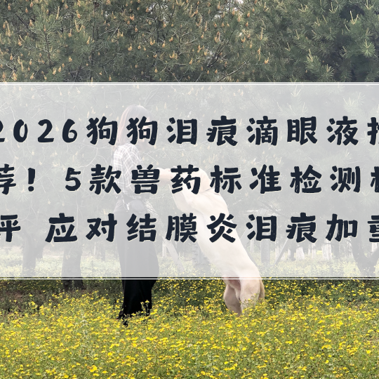 2026狗狗泪痕滴眼液推荐！5款兽药标准检测横评 应对结膜炎泪痕