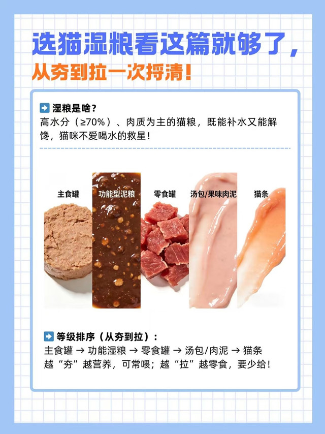 养猫4年踩坑总结｜猫湿粮完整选购指南，别再把零食罐当主食喂