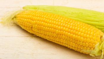 高硼硅玻璃饭盒VS PP塑料盒：谁才是微波炉安全王者？