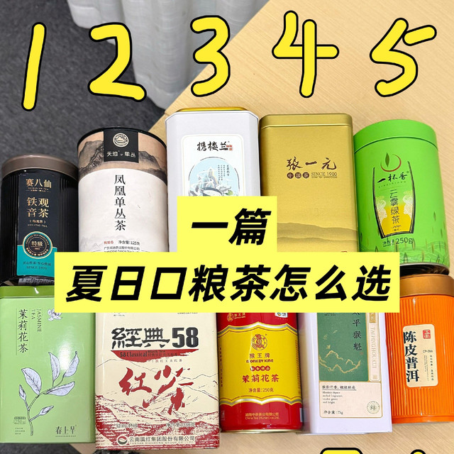夏日口粮茶分享！你喝的是什么茶？