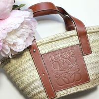 2026草编包怎么选？Loewe、Celine、Gucci实测对比，保值实用全解析