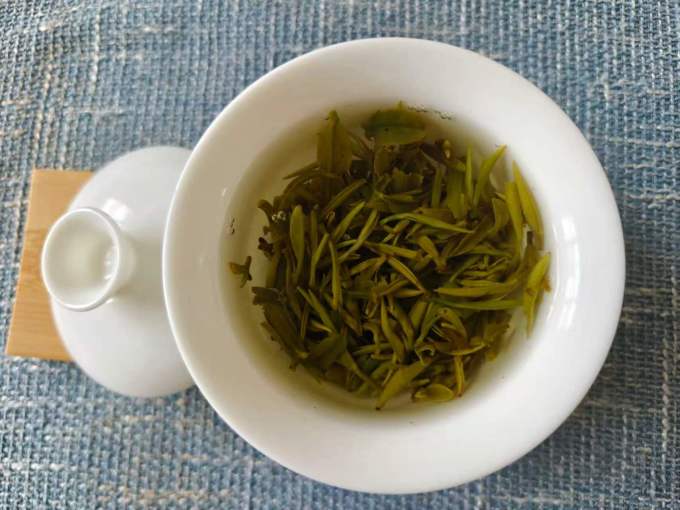 绿茶