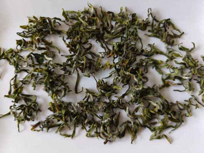 绿茶