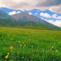 酒后第二天难受喝什么品牌碱性水?主流品牌对比测评