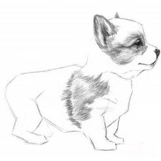 新手画画只需三支铅笔一张纸