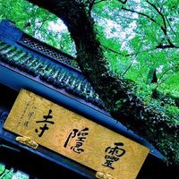 1700年灵隐寺:从飞来峰传说到济公传奇,藏着多少你不知道的禅意秘密?