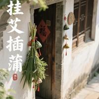2026端午“三午相逢”?别慌,这份避暑防病指南比玄学更实用