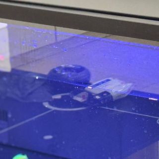 智能鱼缸推荐：当贝鱼缸2S Ultra两个月体验，新手必看