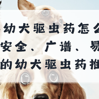 2026幼犬驱虫药怎么选？基于安全、广谱、易用原则的狗驱虫药品牌