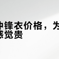 北面冲锋衣还值得买吗？成本涨、竞品强、口碑两极，2026真实现状全解析