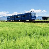 洱海西线免费打卡攻略：龙龛日出、S湾弯道、喜洲麦田怎么玩最值