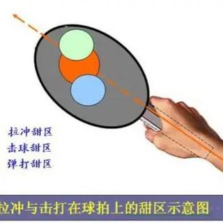 羽毛球拍怎么选？4U成新手安全起点，甜区与平衡点决定手感差异