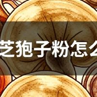 2026灵芝孢子粉横评：结合复购率与成分实测，十大品牌盘点请收藏