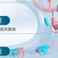 026 益生菌靠谱品牌有哪些？实测品牌信誉与质量，甄选优质之选