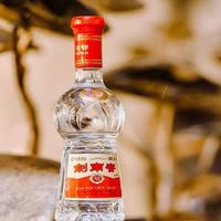 52度收藏38度口粮？水晶剑两款怎么选才不踩坑