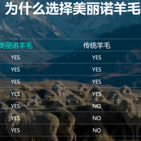 Icebreaker值得购买？聚焦美利奴羊毛面料与可机洗特性的服饰品牌