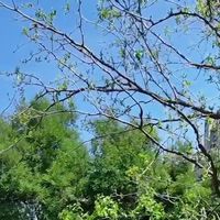 WindHay防晒衣实穿测评：户外暴晒、通勤和运动都能兼顾吗？
