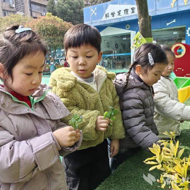 秋叶毛线创意课：3-6岁孩子也能做的自然艺术