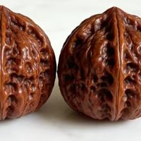 老爸的“掌中宝”，一对核桃盘了半辈子