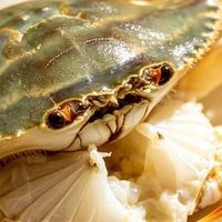 远海梭子蟹怎么挑？冷链再强也得会选会存