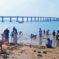 赶海挖螺总白忙？工具用错效率低还伤手