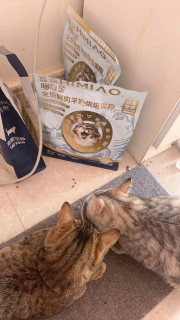 618囤猫粮，性价比之选