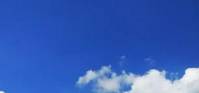 高温粘身？轻功导汗大师短袖的网眼解法