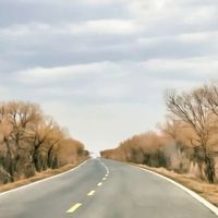 京东京造床垫怎么选？一张图看懂独立袋簧、黄麻棕和乳胶垫的区别
