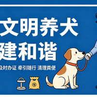 沈阳中华田园犬解禁！三环内也能合法养，但这些条件必须满足