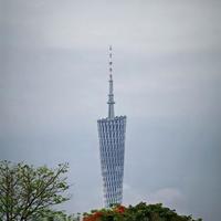 手机长焦卷到400mm，专业镜头还能打吗？