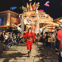 乌镇戏剧节全球征稿！用“滑行、狐狸、收音机”玩转30分钟华语戏剧