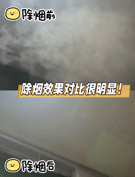 百元桌面空净实测：15分钟除烟达标，小巧便携但滤网成本差一倍