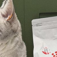 多猫家庭刚需！皇家S27室内老年猫粮太省心