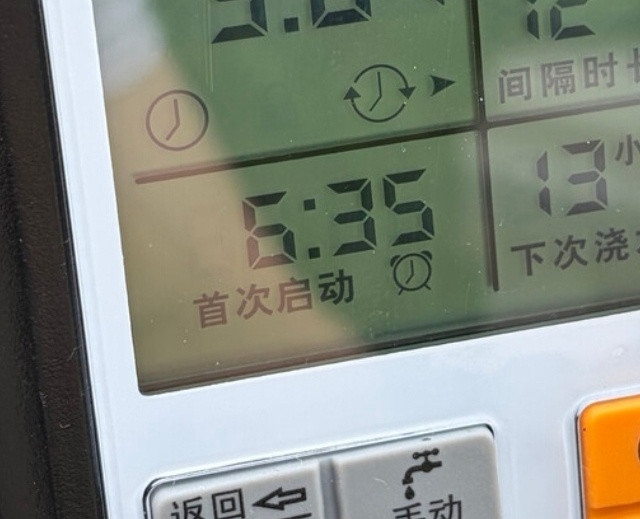 一隅花草一池清欢，原来老爸的快乐这么简单