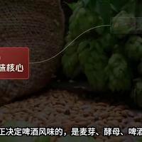 10°P是分水岭？看懂原麦汁浓度，才喝得明白真麦啤酒