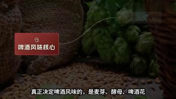 10°P是分水岭？看懂原麦汁浓度，才喝得明白真麦啤酒