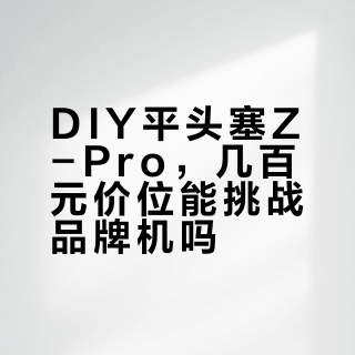平头塞怎么选？Z-Pro激进调音VS品牌机均衡耐听，三大关键差异说透