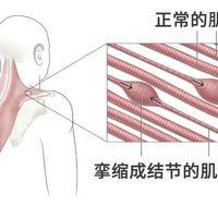 妙界R3和R9按摩仪怎么选?打工人VS爸妈,谁更适合哪款?