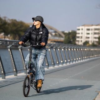 折叠车怎么选？轮径、变速、折叠效率和减震全解析