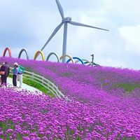 宠物乐园怎么建才不踩坑？从社区快装到旗舰闭环全解析
