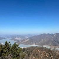 霸总变“小王子”？当代言情里的权力幻想与情绪代糖