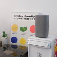 智能音箱大比拼：谁的AI更懂你、音质更炸、生态更全能？